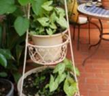 3 tier ..6ft shabby chic planter