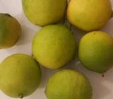 Lime fruit