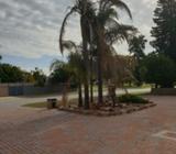 Palms and rhododendrons