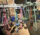 Macrame hanging succulents