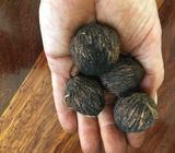 Black Walnut seeds