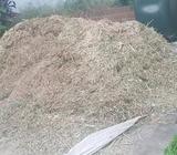 Tree and bamboo mulch