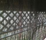 Brushwood privacy screening