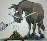 Free horse manure by the trailer load