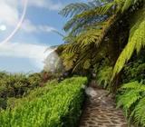 Gardening ******** 567