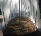 Handyman and Gardener available