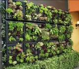 Gardening and urban farming MILK CRATES