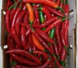 Big chillies for sale