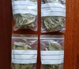 Freshly dried Bay leaves for sale