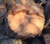 Wanted: WANTED LOGS