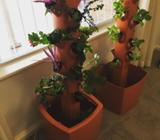 Hydroponics Tower