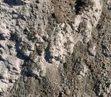 Top Soil Lush & Loamy