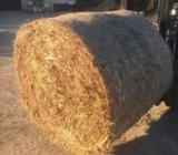 Sugarcane Round Bales $85