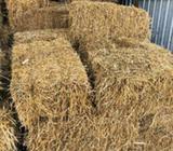 Lucerne Mulch Bales $17 each
