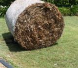 Cane bales delivered