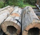 Hollow logs, various lengths