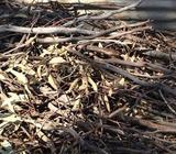 Sticks ( wood) kindeling