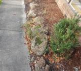 Landscape Boulders