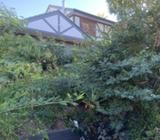 Gardens uncovered