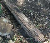 Old log s for firewood or landscaping
