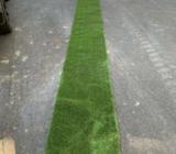 Wanted: Astro turf