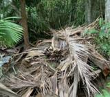 Rubbish removal. Yes I remove rubbish Northside area