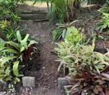 Yard maintenance, landscaping - Northside