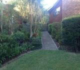 Gardening, landscaping, yard maintenance from $50 - The Gap
