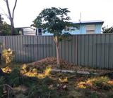 Mulch for garden