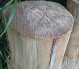 Hardwood Logs