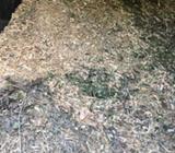 Tree mulch