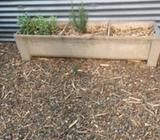 Triple cement laundry tubs