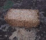 Pea Straw