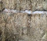 Lucerne mulch