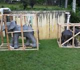 Elephant Water Spitter Yard Garden Outdoor living