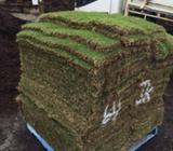 Turf green couch $5/pce