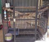 Avi One Parrot Cage 362 Arch Top Heavy Duty