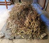 Garden waste for compost or mulch