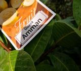 Amman guava