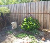 Rusty Gate Garden Art Rusty Gold 3m long x 1.15m high