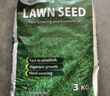 HORTICO LAWN SEED