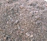 mushroom Compost
