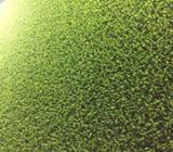 synthetic grass sales