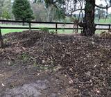 FREE HORSE MANURE