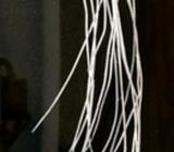 Bunch of decorative white sticks