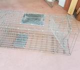 Cat or possum trap