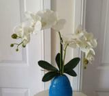 Silk White Orchids In Blue Stone Design Vase 50cm High
