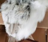 Free standing owl fluffy decoration