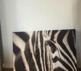 Ikea zebra wall frame