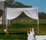 White bamboo wedding gazebo